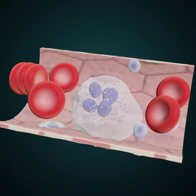 Cell 3D · Learning apps